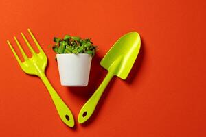 Rake, shovel and micro green pot on red background photo