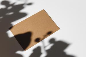 Business card on paper background with foliage shadow photo