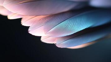 Colorful feathers arranged in a captivating pattern under soft lighting in a dark setting photo