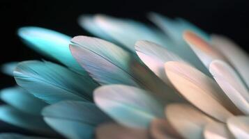 Beautiful array of delicate feathers showcasing shades of blue, white, and cream in intricate detail and soft lighting photo