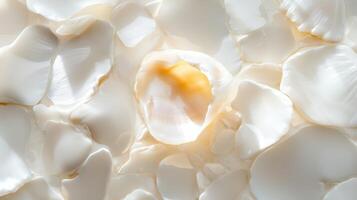 Delicate white petals scattered on a soft surface creating a serene, calming atmosphere photo