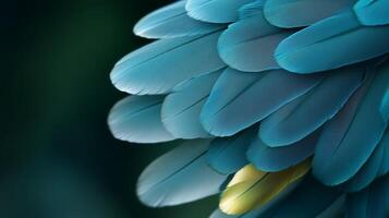Vibrant blue feathers showcasing unique texture and color variations in a natural setting photo