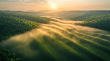 Soft mist blankets the green hills and valleys, as warm sunlight breaks through at dawn photo