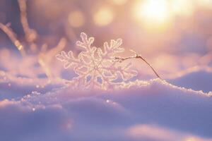 Delicate snowflake resting on pristine snow as sunlight creates a magical winter glow in the early morning hours photo