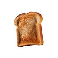 A single slice of toasted bread with a white backdrop. photo