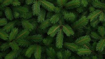 A close up view of a green christmas tree photo
