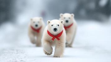 Three Adorable Polar Bears Marching in Snow Wearing Festive Red Bows, Capturing Winter Holiday Spirit in a Charming and Playful Manner, Highlighting Wildlife and Seasonal Joy photo
