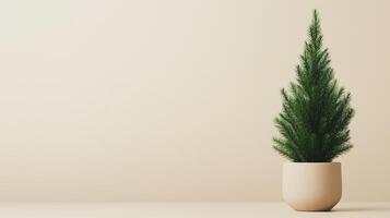 Xmas Eco-Friendly Holiday Gift Guide Website Featuring Minimalist Potted Evergreen Tree on Neutral Background Emphasizing Sustainability and Natural Design for Seasonal Decor Enthusiasts photo
