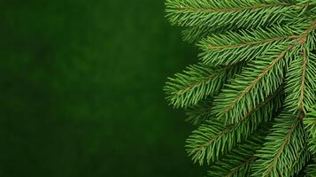 Lush Green Fir Tree Branch Background for Winter and Holiday Themes Featuring Fresh Pine Needles photo