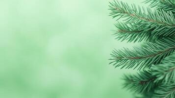 Lush Green Fir Tree Branches in Soft Focus Winter Background Highlighting Nature's Tranquility and Serenity with Vibrant Evergreen Details Perfect for Seasonal and Holiday Design Concepts photo