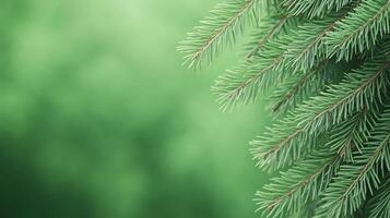 Lush Green Fir Tree Branches Against Blurred Background for Nature Inspired Holiday Designs Winter Atmosphere Ideal for Seasonal Decorations Greeting Cards Eco-Friendly Themes Botanical Art photo