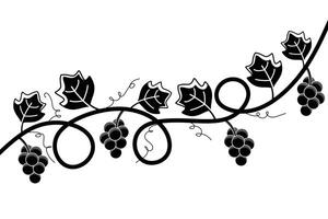 Black and white grape branch tree background design vector