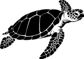Black Sea Turtle Illustration for Marine Conservation Graphics vector