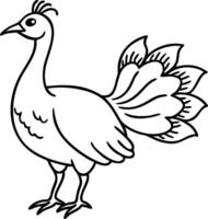 Elegant Peacock Line Art for Decorative and Educational Use vector
