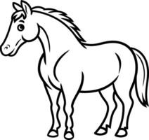 Elegant Horse Line Art Illustration for Design and Educational Use vector
