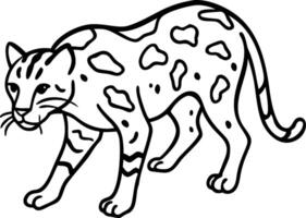 Stylized Clouded Leopard Outline Illustration for Wildlife Education vector