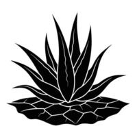 Aloe Vera Plant Silhouette in Cracked Dry Soil on a White Background vector