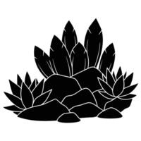 Cluster of Desert Succulent Silhouettes on Rocky Surface in Desert on White Background vector