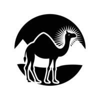 Lone Camel Silhouetted with Sunrise in Background on White Background vector