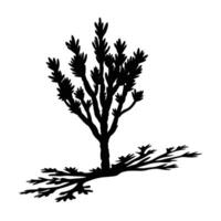 Desert Shrub Silhouette Casting a Small Shadow on White Background vector
