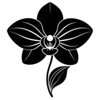 Elegant Orchid in Vertical Composition vector