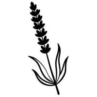 Lavender Silhouette from Side View vector
