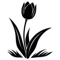 Single Tulip Silhouette Emerging from Grass vector