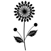 Wildflower with Small Round Leaves vector