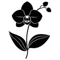 Simple Orchid Silhouette with Thin Stem and Buds vector