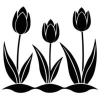 Tulip Field with Three Blooming Flowers vector