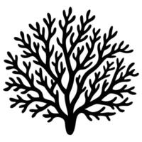 Detailed Coral Fragment with Soft Curving Branches vector