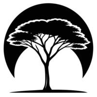 Acacia Tree on Flat Ground Under Setting Sun vector