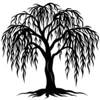 Delicate Willow Tree with Drooping Branches vector