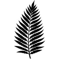 Arched Fern Leaf with Fine Tapering Edges vector