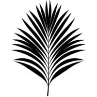 Arched Palm Frond with Fine Individual Leaves vector