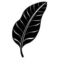 Lone Banana Leaf with Gentle Upward Arch vector
