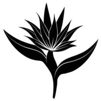 Bold Bird of Paradise Flower in Striking Silhouette vector