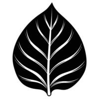 Large Leaf with Visible Cuts and Folds vector