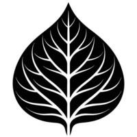 Large Tree Leaf with Dramatic Curved Veins vector