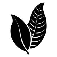 Curved Banana Leaf Overlapping Another Leaf vector