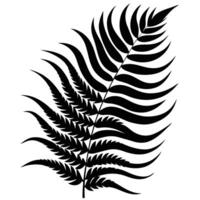 Fern Silhouette with Wavy Lines and Curved Shape vector
