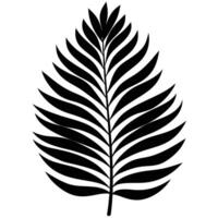 Close-Up View of Frond with Wide Spread-Out Leaf vector