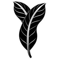 Twisted Banana Leaf Silhouetted Showing Inner and Outer Sides vector