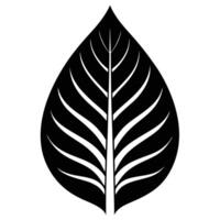 Large Upward-Arcing Jungle Leaf in Focus vector