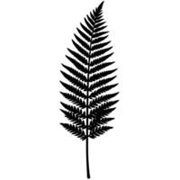 Slim Fern Silhouetted with Jagged Tips and Smooth Stem vector