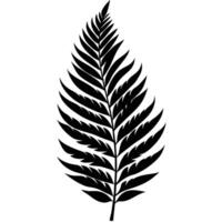 Fern Leaf Silhouetted with Delicate Curved Structure vector
