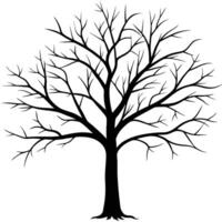 Tall Tree with Intricate Bare Branches on Empty Plain vector