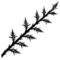 Thin Frosty Branch with Sharp Shimmering Crystals vector