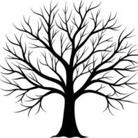 Bare Winter Tree Silhouetted with Intricate Branches on White Background vector
