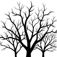 Bare Branches Silhouetted Against the Sky on White Background vector